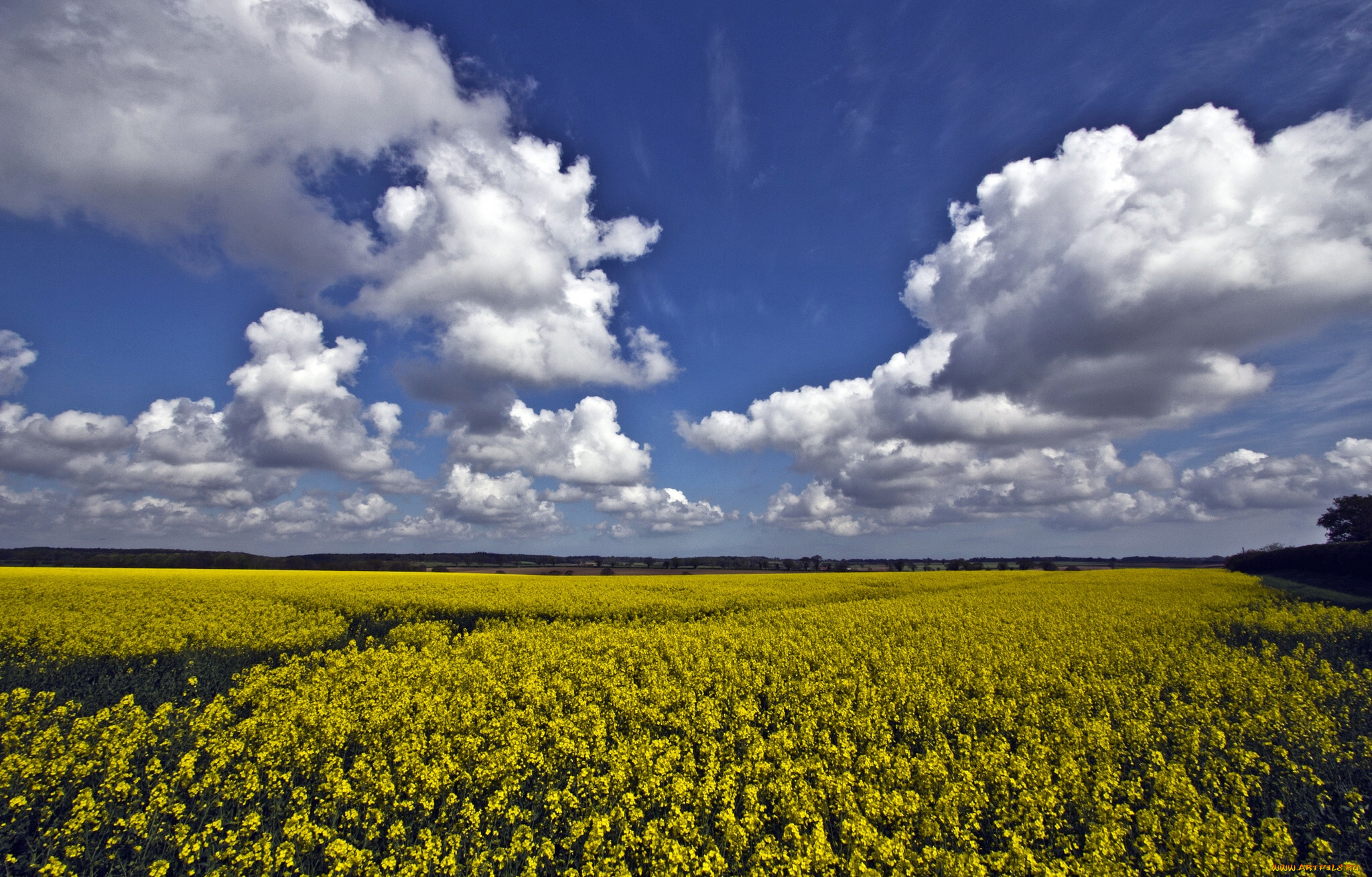 norfolk, england, , , , 